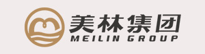 美林集團(tuán)